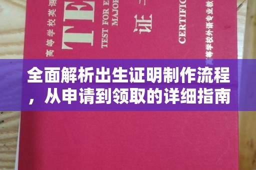 竹东全面解析出生证明制作流程，从申请到领取的详细指南