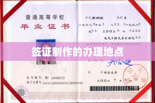 竹东签证制作的办理地点
