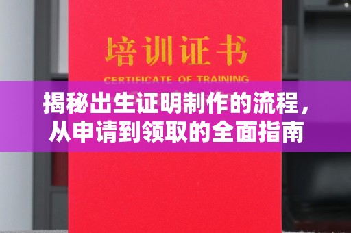 竹东揭秘出生证明制作的流程，从申请到领取的全面指南