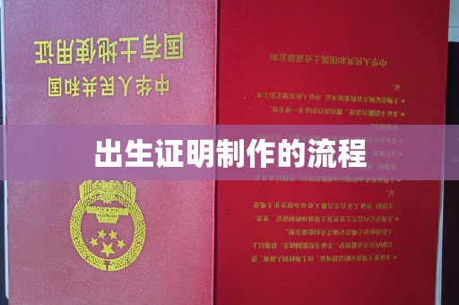 竹东出生证明制作的流程